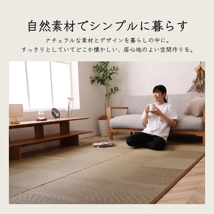 地毯 草蓆 日本製 國產 滿鋪 地墊 鋪墊 藺草 消臭 抗菌防臭 止滑 防焰 方格紋 『DX諾亞』
