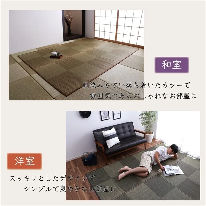 地毯 國產 日本製 自然風格 藺草 消臭 抗菌防臭 防滑 防焰 市松格紋 『DX』