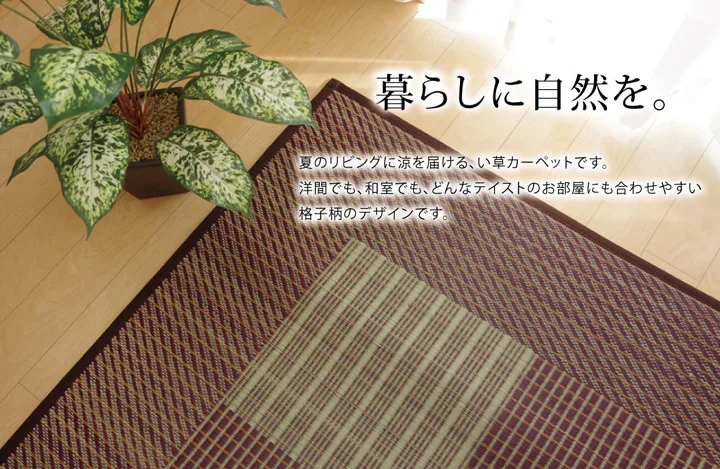 純國產 藺草地毯 格紋簡約現代『F Light』