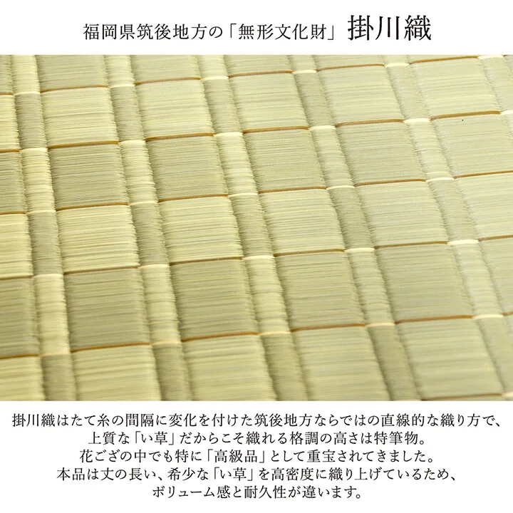 純國產 掛川織 花蓆 藺草 鋪墊 地毯 『松川』