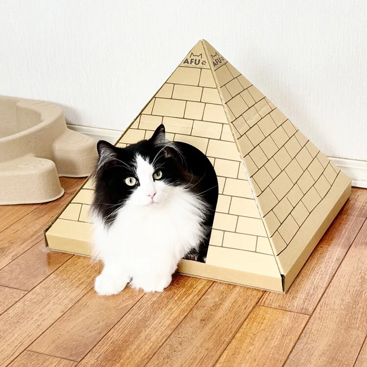 【可直送】貓屋 附貓抓板 貓 寵物 玩具